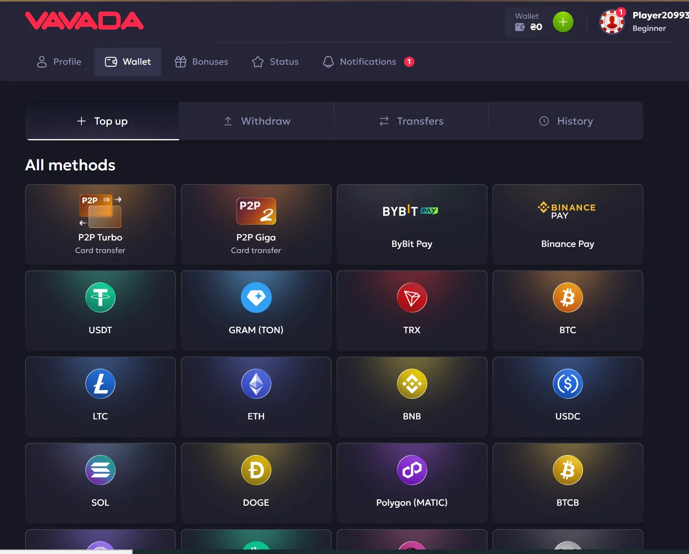 Каса Vavada зі списком способів поповнення: P2P на картку, Binance Pay, ByBit Pay і криптовалюти